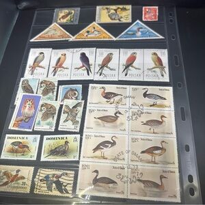 Worldwide Bird Stamps Lot – Mostly CTO/Used, Some Mint – Poland, Oman, Dominica